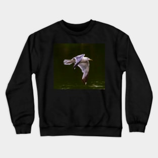 A Gull Flying Over a Lake Crewneck Sweatshirt